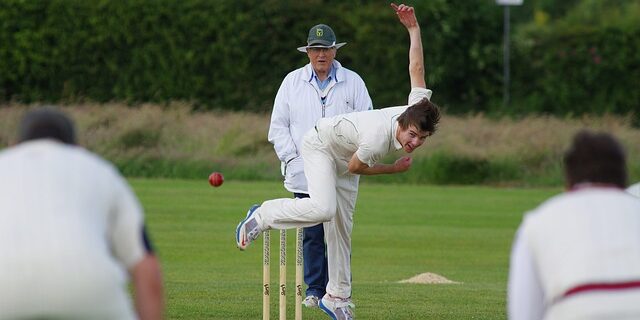 cricket-g3a5072c97_640