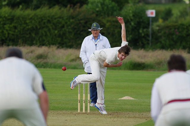 cricket-g3a5072c97_640