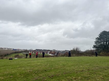 Tree Planting Buttercup Meadow