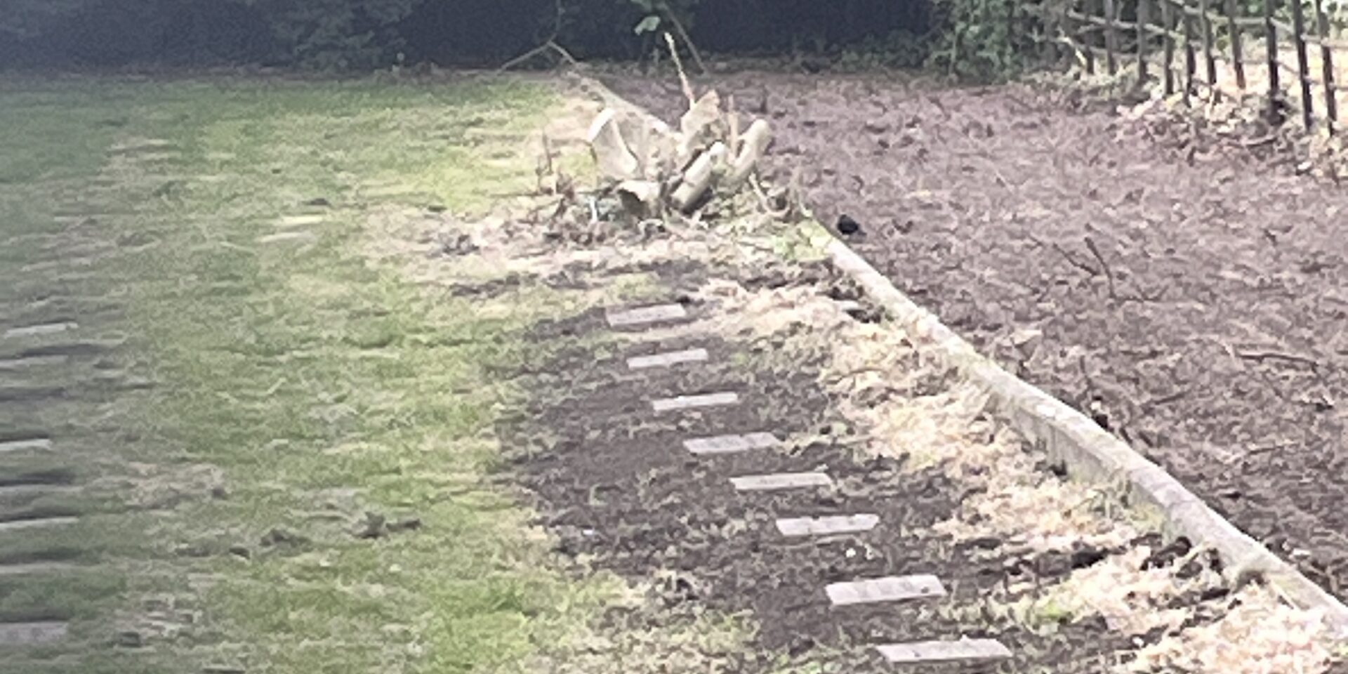 Day 2 – First line of stones