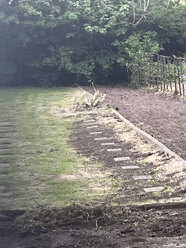 Day 2 – First line of stones