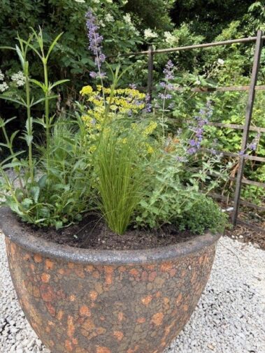 A large rustic planter filled with a variety of green plants and purple wildflowers sits on a gravel surface, part of the Hidden Graves Project, with a metal trellis and leafy greenery in the background.
