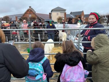 A group of children with backpacks stand by a metal fence, looking at goats in a pen. Adults and other children are gathered around, some under umbrellas, outside on a cloudy day. One girl wears a red headband and traditional clothing.