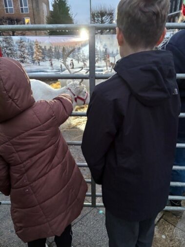 Two children in winter coats stand by a metal fence, looking at a white reindeer in a snowy, festive outdoor setting. One child points toward the reindeer while the other stands beside them.