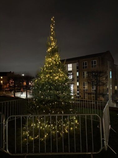 A tall outdoor Christmas tree adorned with yellow fairy lights stands behind a metal barrier at night, with nearby buildings and streetlights visible in the background.
